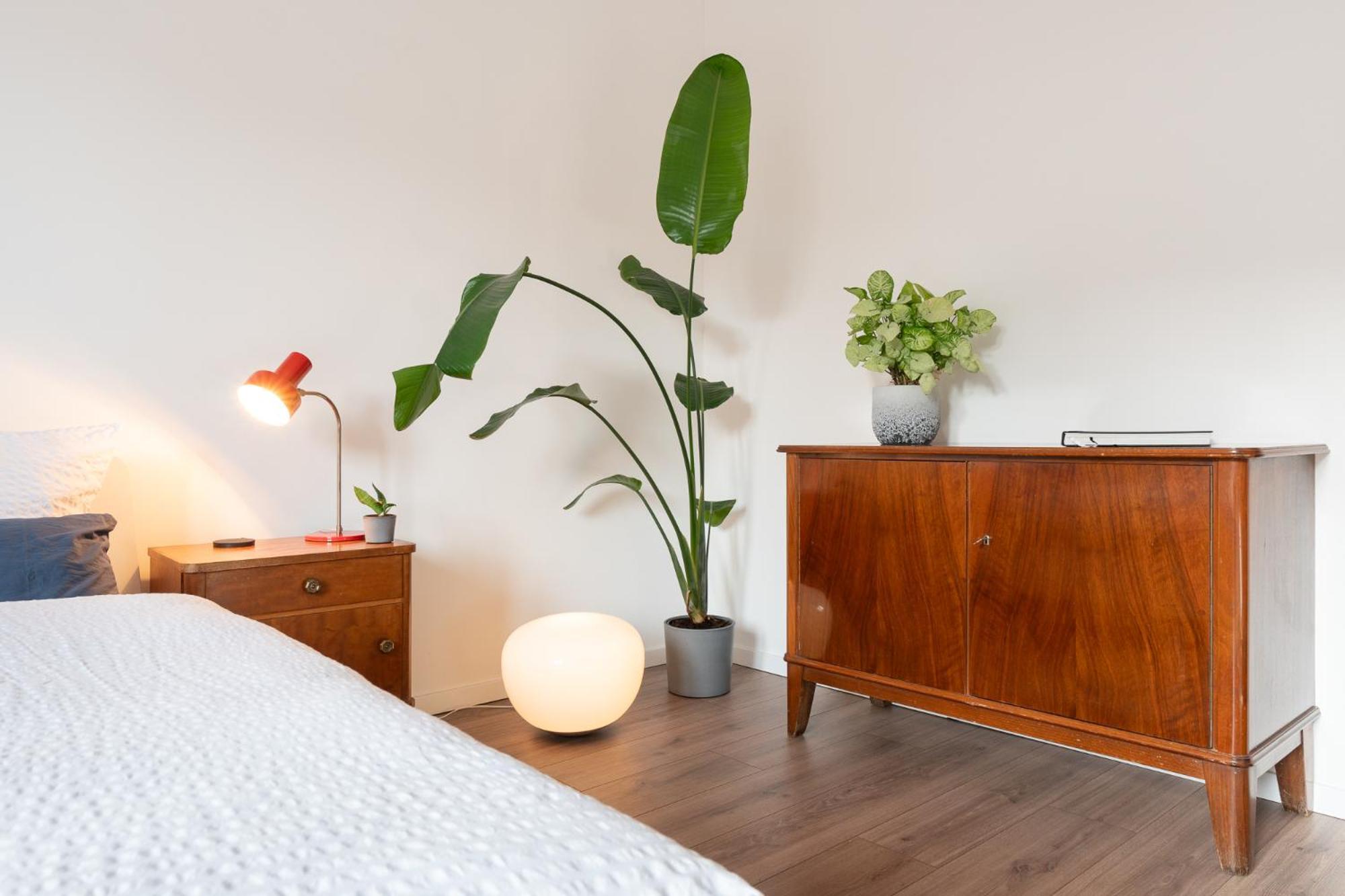 Luxurioeses Apartment, 10Min Innenstadt, Parkplatz エアフルト エクステリア 写真
